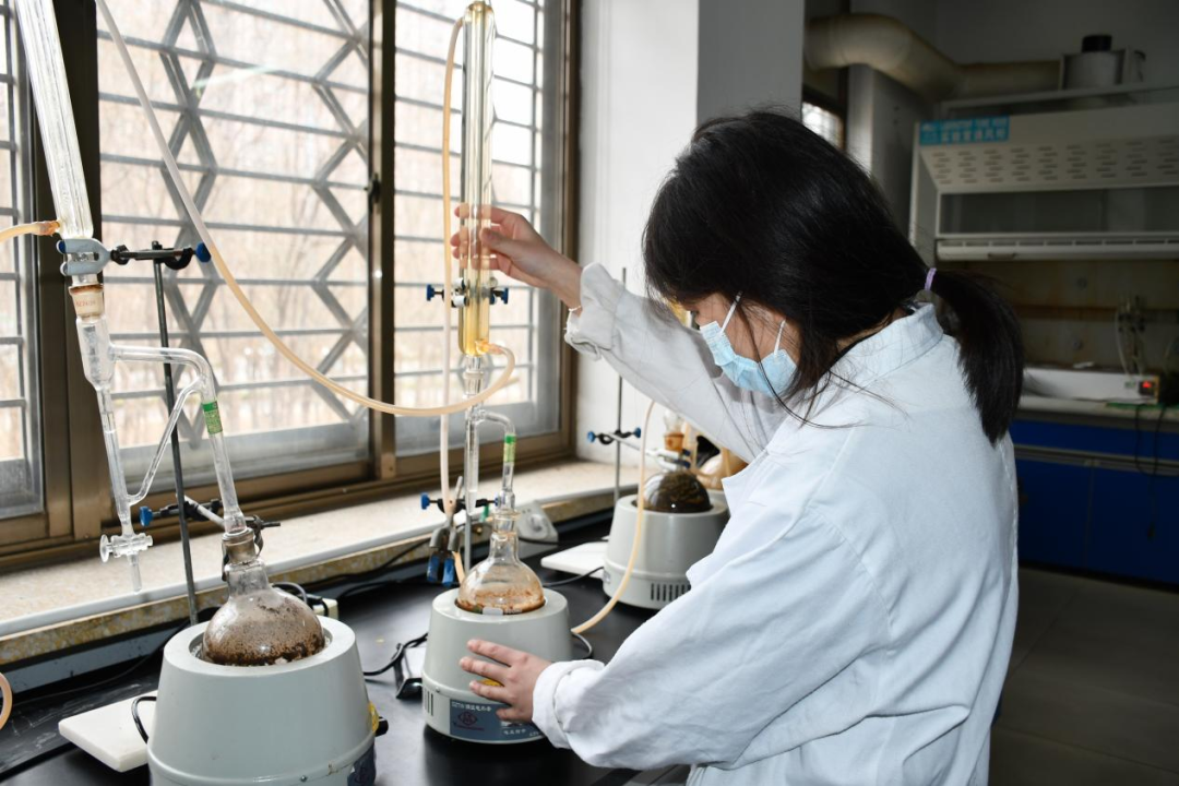 一年之計(jì)在于春，青春奮斗正當(dāng)時(shí)——醫(yī)養(yǎng)健康集團(tuán)