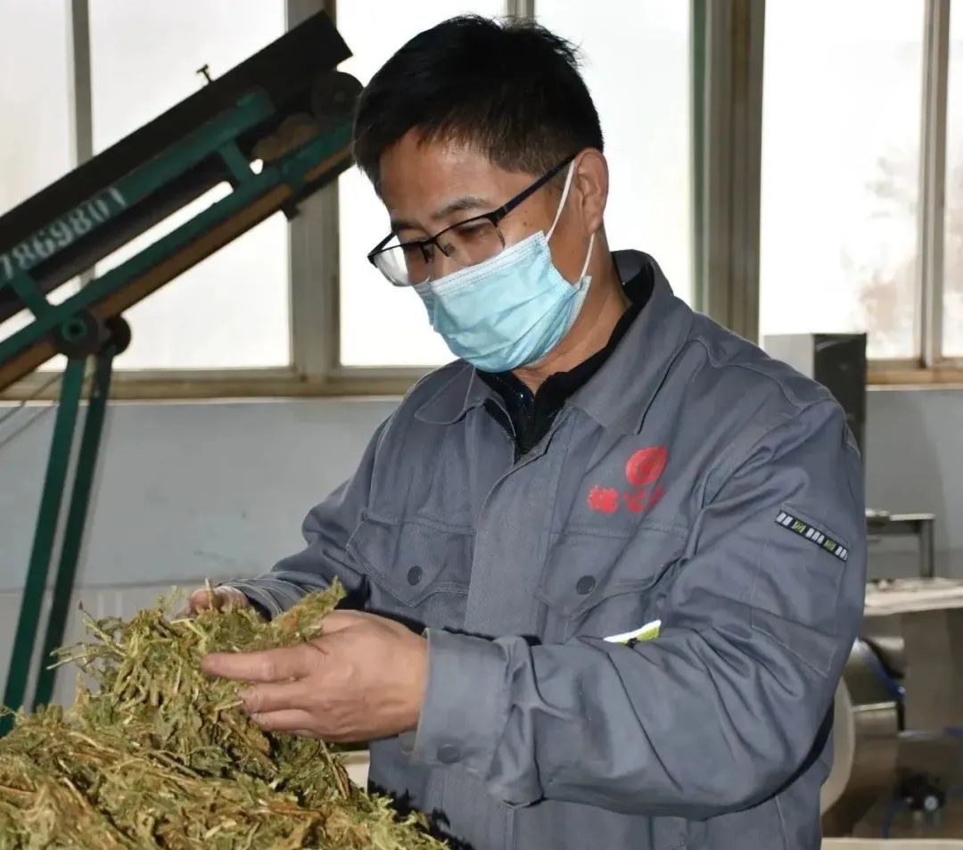 【向下扎根，向上生長】孫吉民：20年堅持做一件事